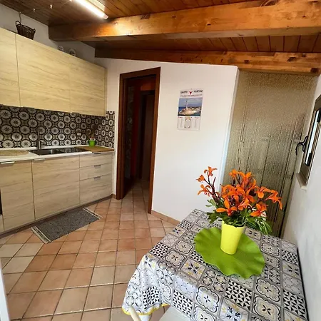 Gisella * مينفي